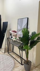 شقة فندقية الشفاء مودرن