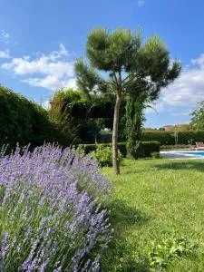 Garden Villa 2 Bedroom Villa with pool near to Sunny beach - Bryastovets