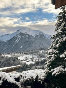Chalets Chalet l-Alisier - Modern chalet, beautiful mountain view, Morzine-Les Gets : photos des chambres