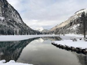 Chalets Chalet l-Alisier - Modern chalet, beautiful mountain view, Morzine-Les Gets : photos des chambres