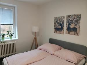 Apartmány Pěkná 10