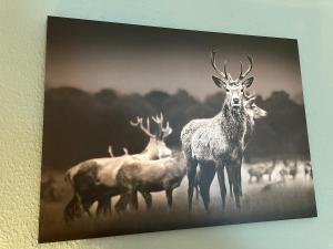 Comfortable City Appartement