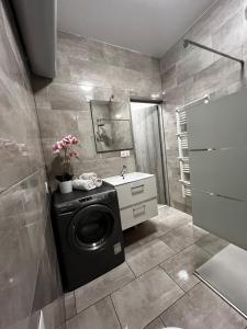 Appartements Superbe 57 appartement : photos des chambres