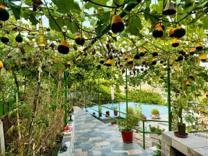 Panoramic View Guest House