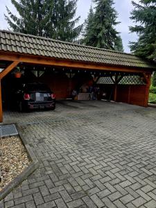 Cozy Pet-Friendly Apartment