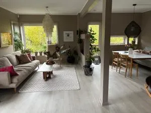 Modern & cozy house - Meråker