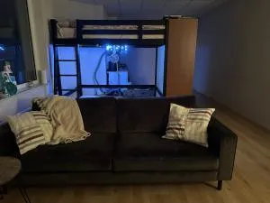 Entire studio appartement - Aalsmeer