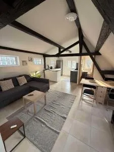 Apartment 50m2 Schiltigheim - 希尔蒂盖姆