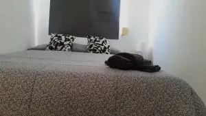 Habitación Individual en vivienda para compartir recién reformada - Valencia