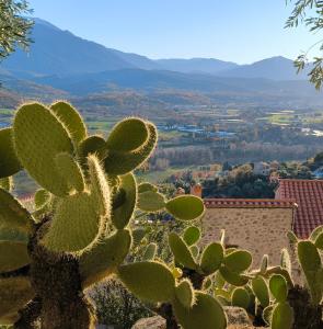 Maisons de vacances Gite du grand cedre : photos des chambres