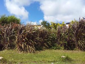 Cabañas Vista Ensueño