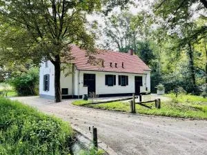 Bosbeertje 43 45 - Gemert