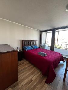 Depto en barrio República