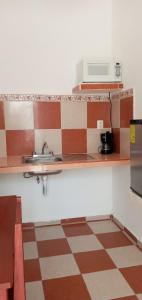 4 Tiburón Toro Squalos place