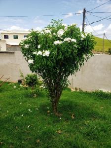 House warmth of the sun, moon glow and smell of the sea