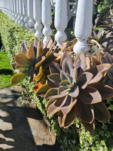 The Farm House Nuwaraeliya