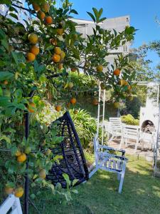 The Farm House Nuwaraeliya