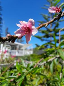 The Farm House Nuwaraeliya