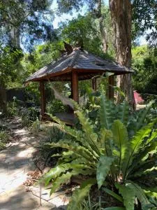 Shambhala - Patonga Beach