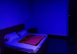 The sky view homestay