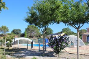 Maisons de vacances Maison Abricot et Orange : photos des chambres