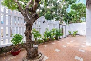 Kegotel Villa Bãi Sau - Central 01