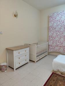 العامر Amer