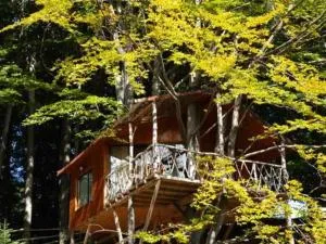 Harmonie Tree house Cotagges Chalet Predeal Trei Brazi - Pârâul Rece