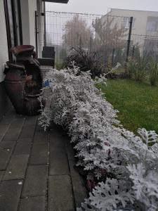 Apartament prywatny Baltic Nova Władysławowo