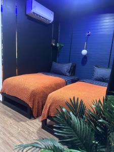 The Hidden Gem Poshtel Koh Tao