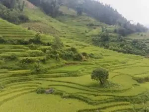 Home Núi Đá Tả Phìn - Phan Kơng Su