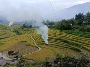 Home Núi Đá Tả Phìn