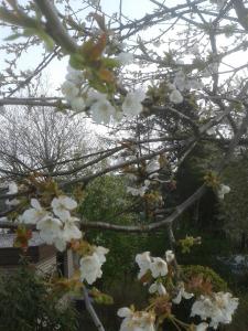 Ferienwohnung Bleialf