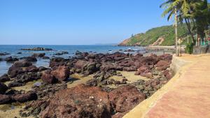 Shree Sai Beach Stay