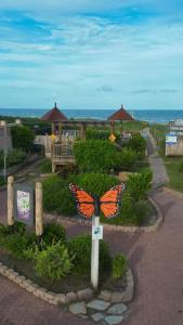 Birdies Landing At Butterfly Park Beach Access
