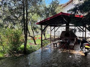 Apartament Magurele spatios cu intrare separata