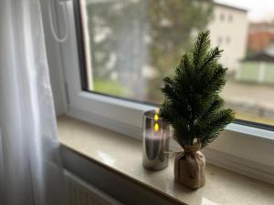 Bad Harzburg-City Ferienwohnung