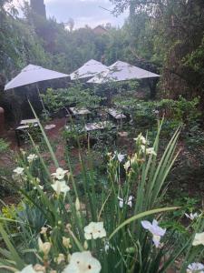 A Birdsvalley Accommodation