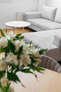 Native Apartments Kraszewskiego 26