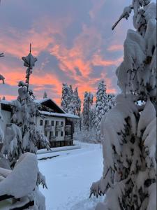 Silent retreat at Euphoria Club and SPA Borovets