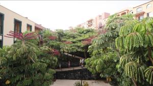 Hotel-Apartamento Las Olas