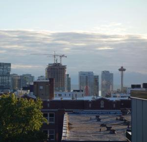 Perch - Urban Reflection 18