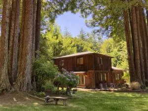 Serenity Grove - ويليتس