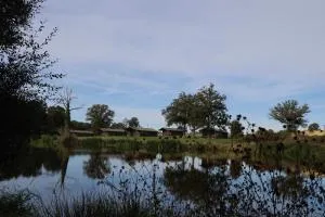 Glamping tent Domaine Bonneblond - Le Châtelet
