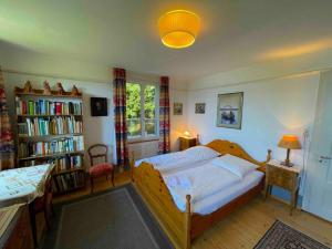 SwissHut Stunning Views Alps Lake Apart Kilinger