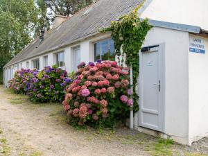 Campings Domaine Residentiel de Plein Air Le Port de la Chaine : photos des chambres