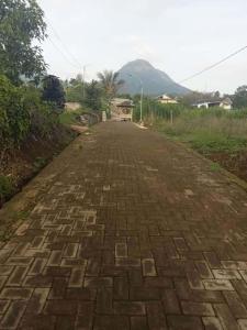 Farm House , Mountain View, Coffee Vegetable Farm BATU CITY