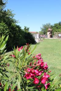 TOMMYs HOUSE BELLEVUE