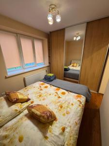 Nuomos Karaliai 1 kmbr