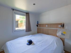 Campings Domaine Residentiel de Plein Air Le Port de la Chaine : photos des chambres